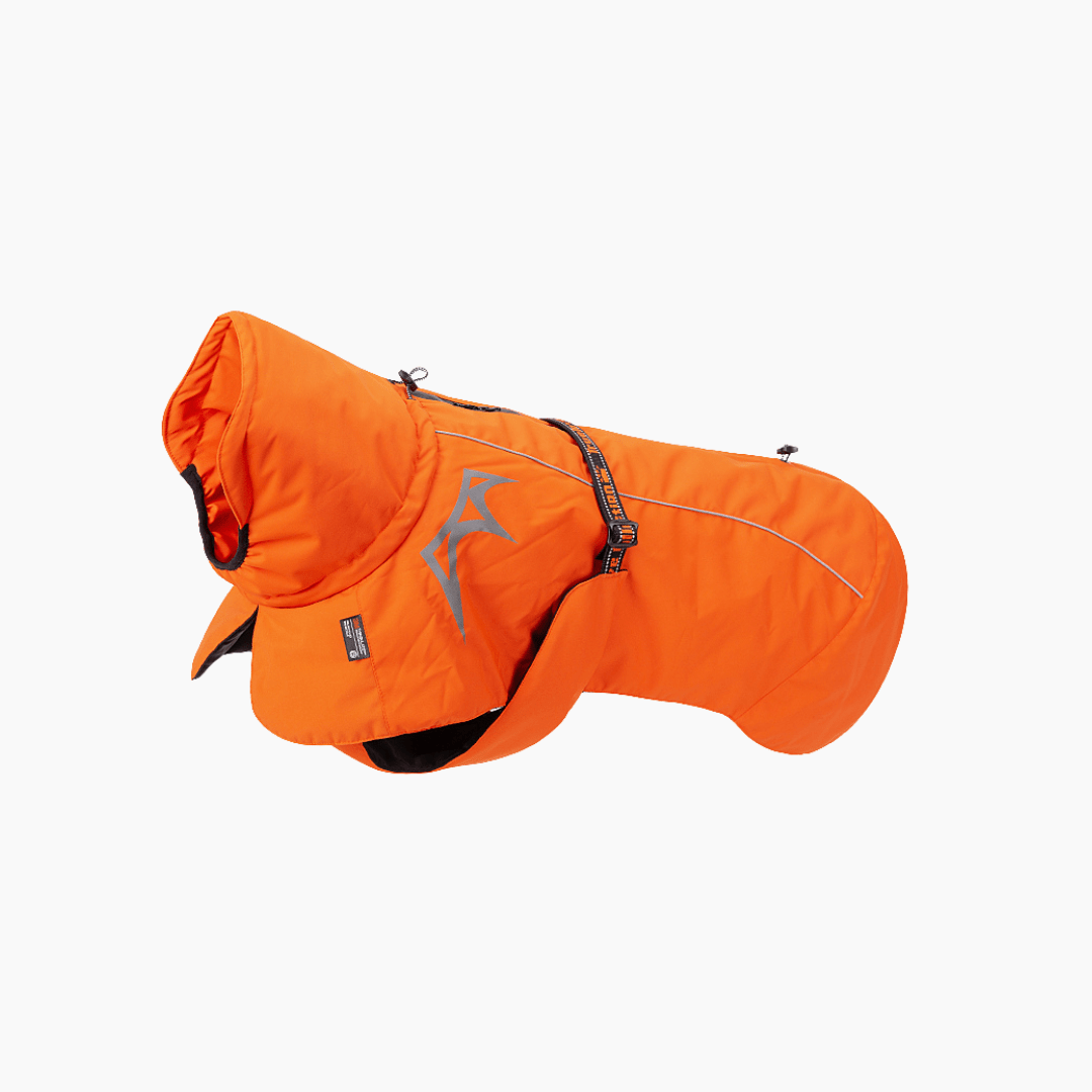 Reflektierender Hundemantel kaufen  Warm & Sichtbar | Petivo  PETIVO