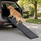 Golden Retriever klettert sicher über die PETIVO faltbare Hunderampe in den Kofferraum eines SUV – ideale Einstiegshilfe für große Hunde