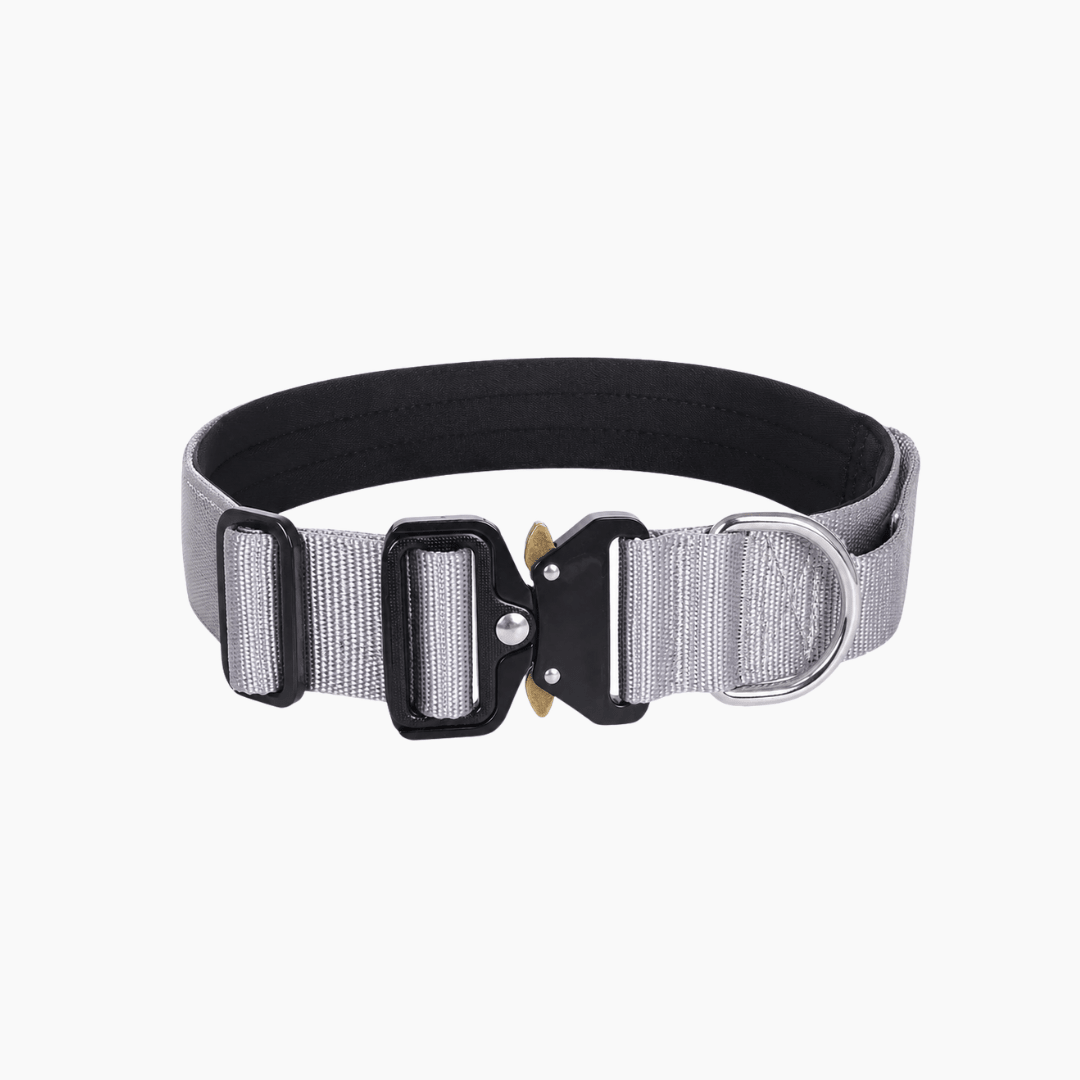 PETIVO Taktisches Hundehalsband in Grau mit gepolstertem Innenfutter, Metallschnalle und D-Ring