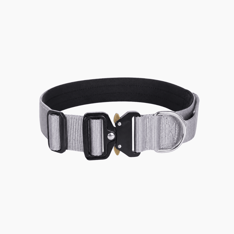 Taktisches Hundehalsband