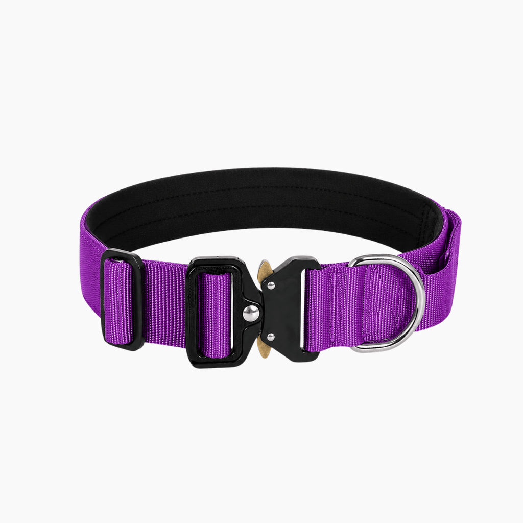 PETIVO Taktisches Hundehalsband in Lila mit gepolstertem Innenfutter, Metallschnalle und D-Ring