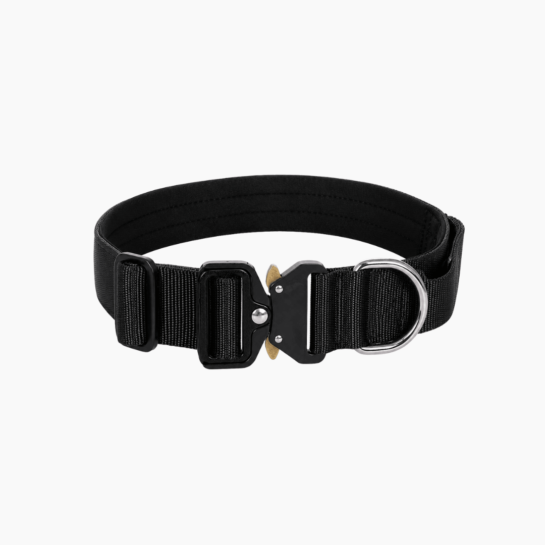PETIVO Taktisches Hundehalsband in Schwarz mit gepolstertem Innenfutter, robuster Metallschnalle und D-Ring
